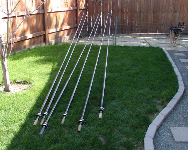 Elements on lawn