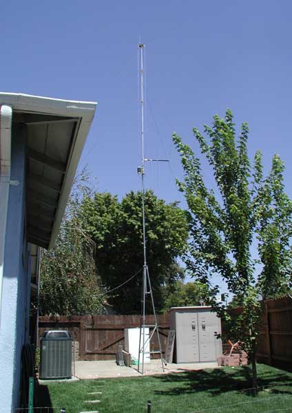 Vertical in side yard